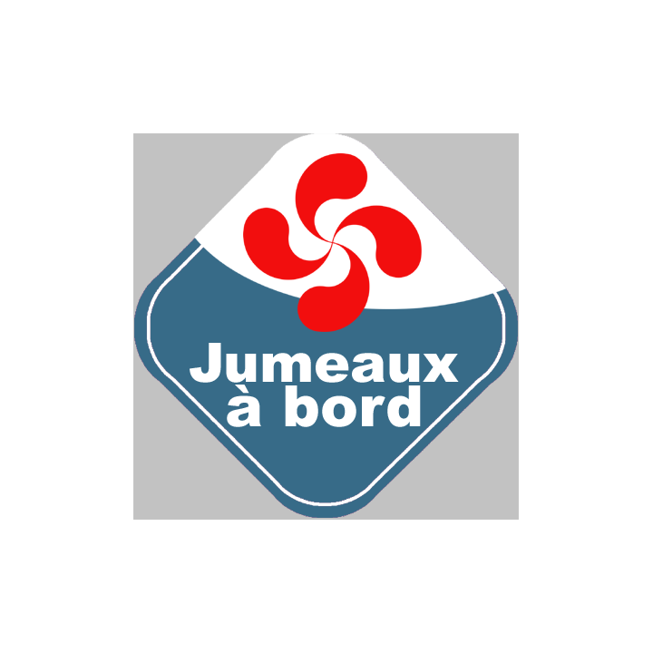 bébés à bord jumeaux basques