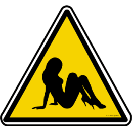 silhouette pin-up 5 (20x18.2cm) - Sticker/autocollant