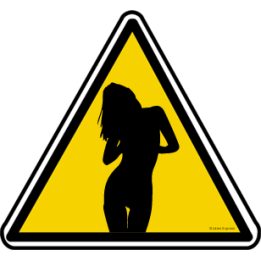 silhouette pin-up 26 (20x18.2cm) - Sticker/autocollant