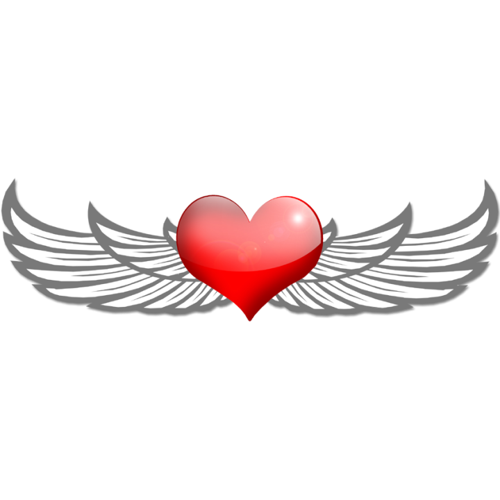 sticker "coeur ailés"