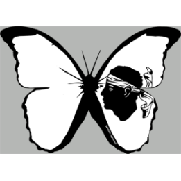 stickers autocollants "effet papillon Corse"