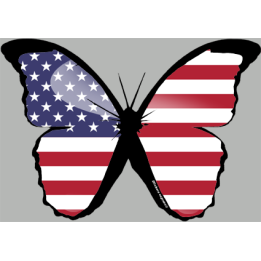 effet papillon USA