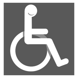 accessibilité handicapé moteur gris