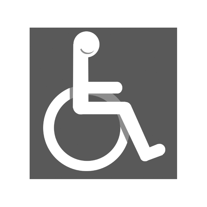 accessibilité handicapé moteur gris