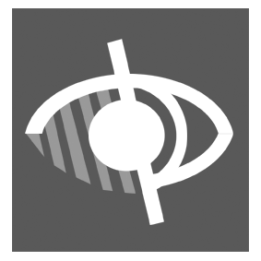 accessibilité handicapé malvoyant gris