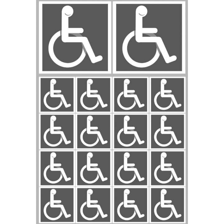 Stickers / autocollants handicape moteur gris 2