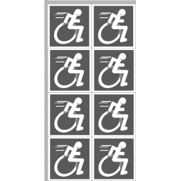 Stickers / autocollants handisport moteur gris 6