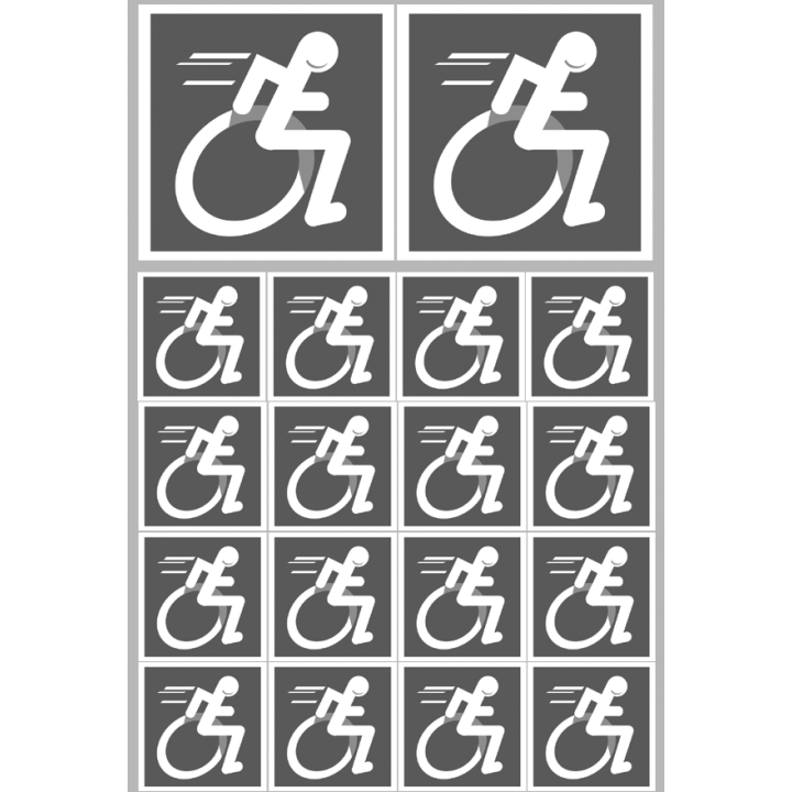 Stickers / autocollants handisport moteur gris 2