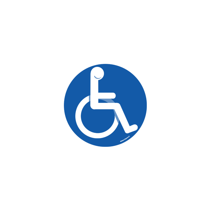 Accessibilité handicapé moteur