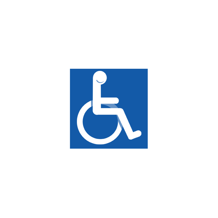 accessibilité handicapé moteur