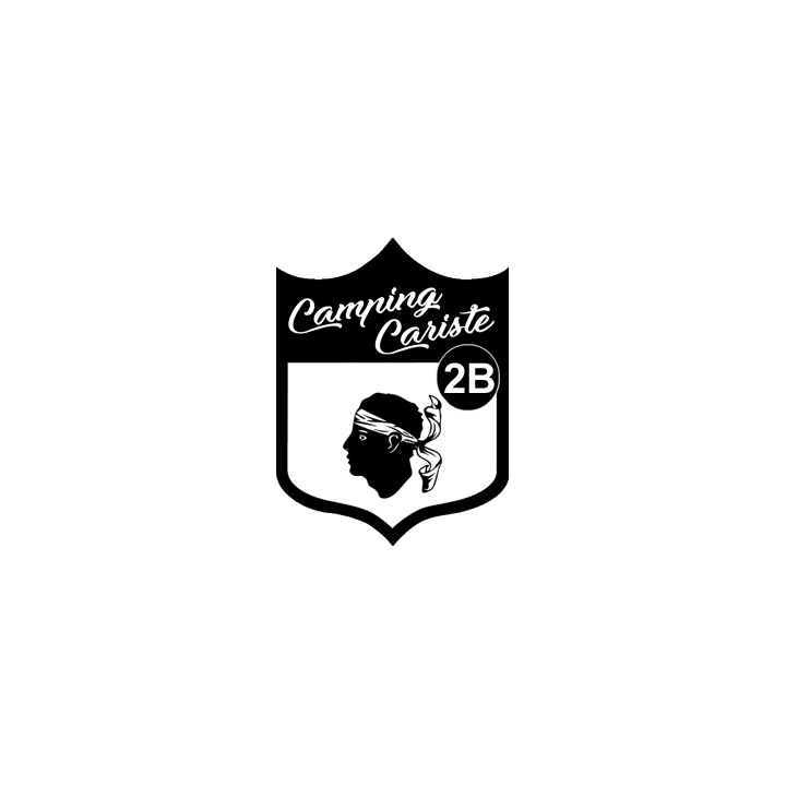 Camping car Corse 2B